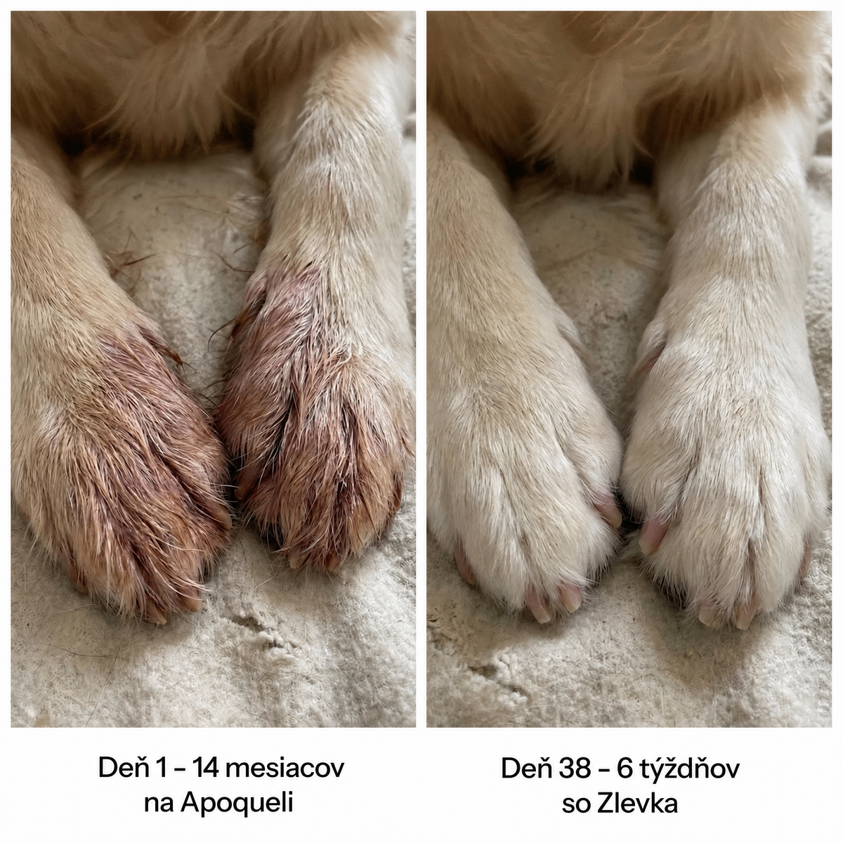 Healthy Petz Prémiový Tekutý Kolagén