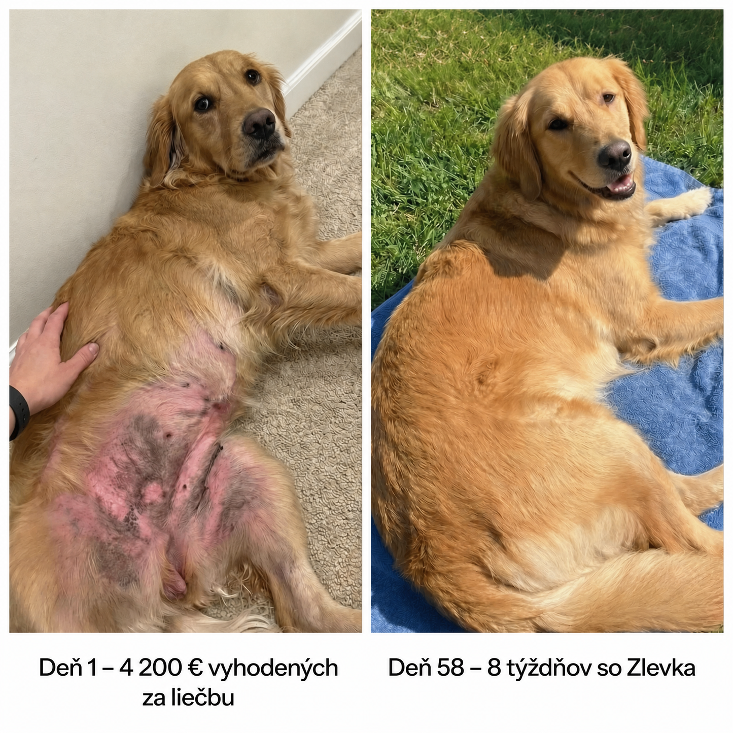 Healthy Petz Prémiový Tekutý Kolagén