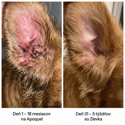 Healthy Petz Prémiový Tekutý Kolagén